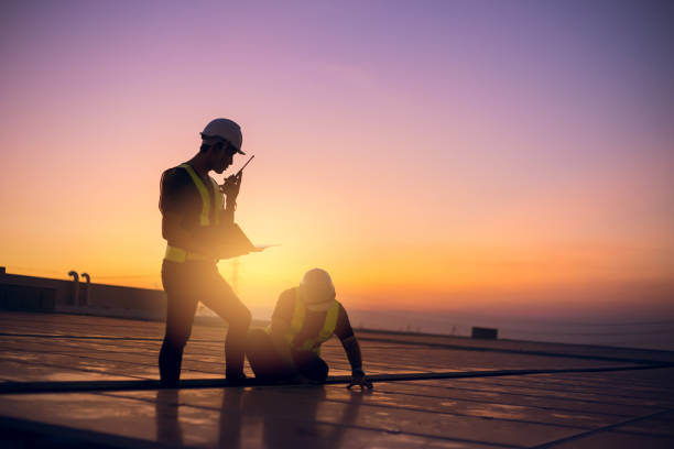 Best Metal Roofing Contractor  in Cartervle, IL