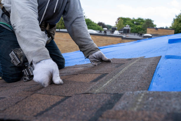 Best Roof Gutter Cleaning  in Cartervle, IL