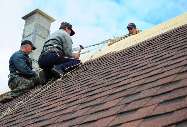 Best Roof Repair Specialists  in Cartervle, IL