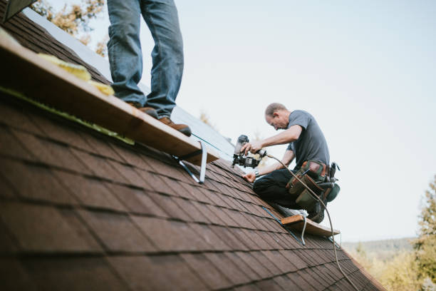 Best Flat Roof Repair Services  in Cartervle, IL