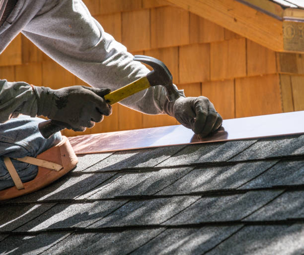 Best Roof Repair Services  in Cartervle, IL